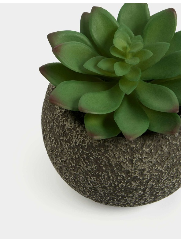 Marks & Spencer Изкуствен мини сукулент в бетонена саксия Marks & Spencer зелена