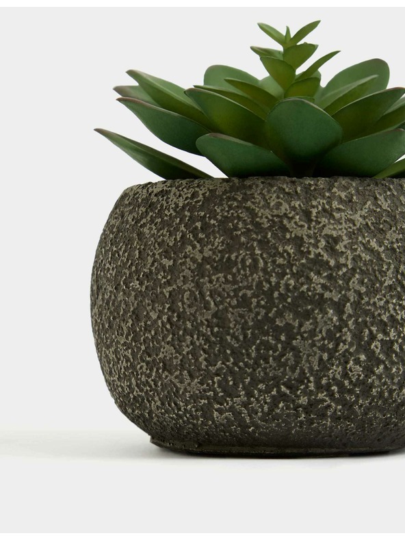 Marks & Spencer Изкуствен мини сукулент в бетонена саксия Marks & Spencer зелена