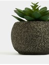 Marks & Spencer Изкуствен мини сукулент в бетонена саксия Marks & Spencer зелена