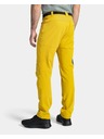 Kilpi Мъжки outdoors панталони Kilpi LIGNE-M Златен