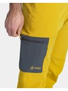 Kilpi Мъжки outdoors панталони Kilpi LIGNE-M Златен