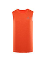 ALPINE PRO Мъжка тениска ALPINE PRO BEWAD spicy orange