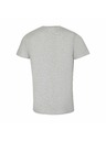 ALPINE PRO Мъжка тениска от неизмачкваем материал ALPINE PRO NOGER пушено сиво вариант pb