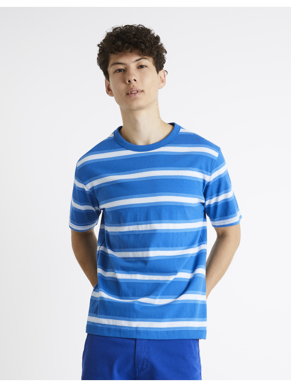 Celio Риза на райета Bewasp Celio