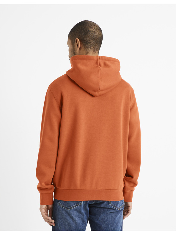Celio Vesix Sweatshirt