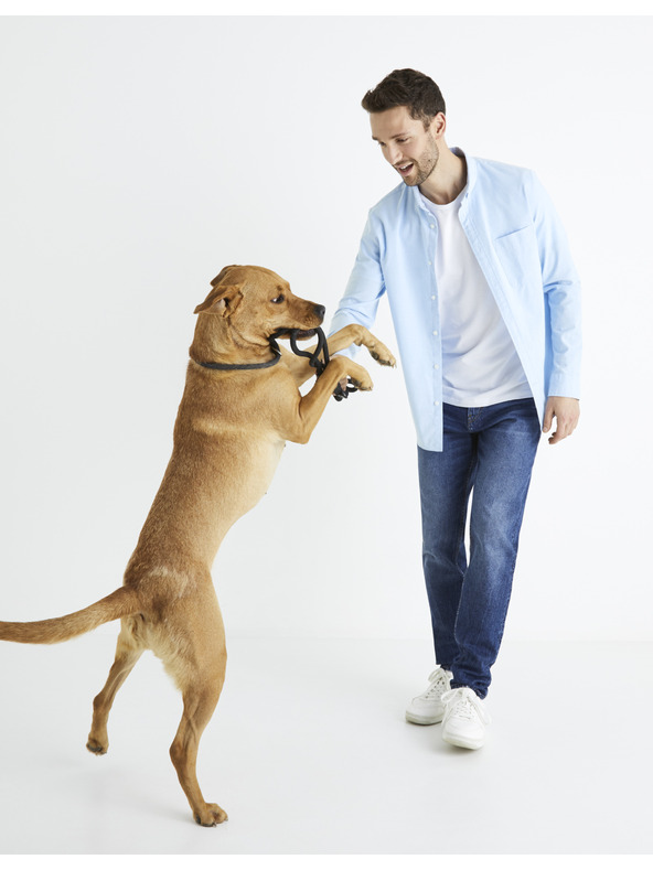 Celio Baxford Риза