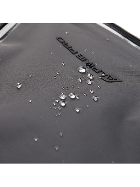 ALPINE PRO Дамски ски панталони с мембрана ptx сняг ALPINE PRO WERADA 2 smoked pearl