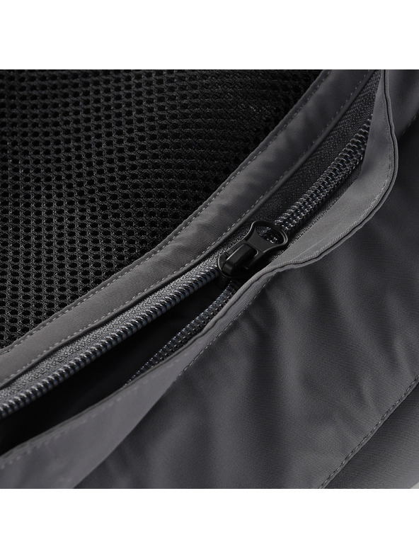 ALPINE PRO Дамски ски панталони с мембрана ptx сняг ALPINE PRO WERADA 2 smoked pearl