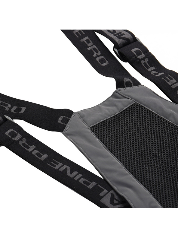 ALPINE PRO Мъжки ски панталони с мембрана PTX сняг ALPINE PRO WERAD 2 пушено сив перлен