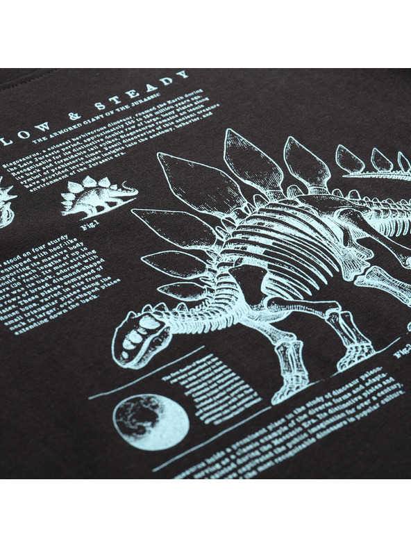 ALPINE PRO Детска тениска от органичен памук ALPINE PRO ECCO 2 черна вариант pf