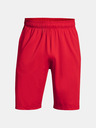 Under Armour Мъжки шорти Under Armour Raid 2.0 Shorts