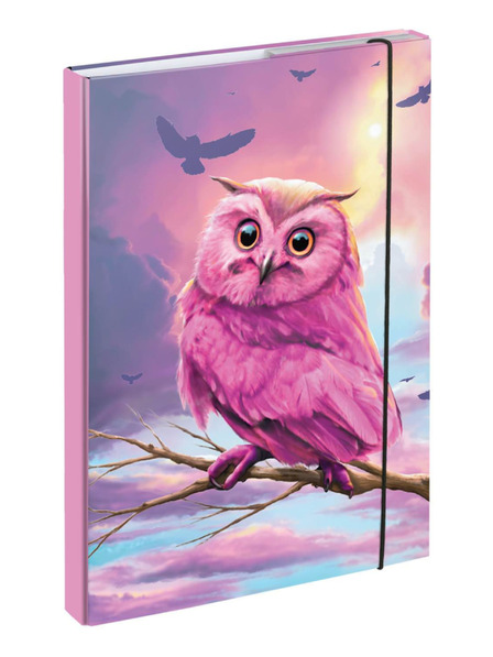 BAAGL  BAAGL Папки за училищни тетрадки A4 Бухалка