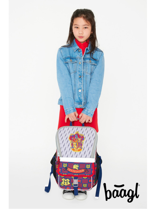 BAAGL  BAAGL КОМПЛЕКТ 5 Zippy Harry Potter Равенклоу: портфейл, пенал, торба, папки, портфейл