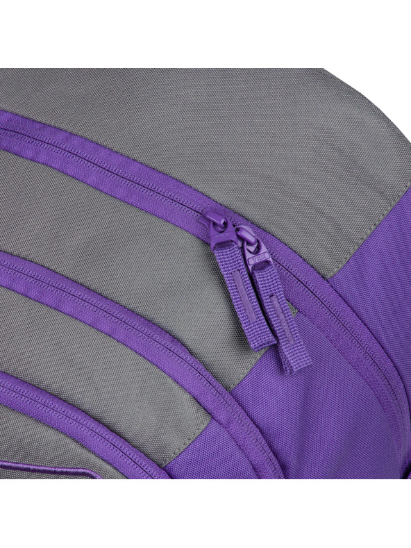 BAAGL  BAAGL Училищна раница Skate Dual GRS