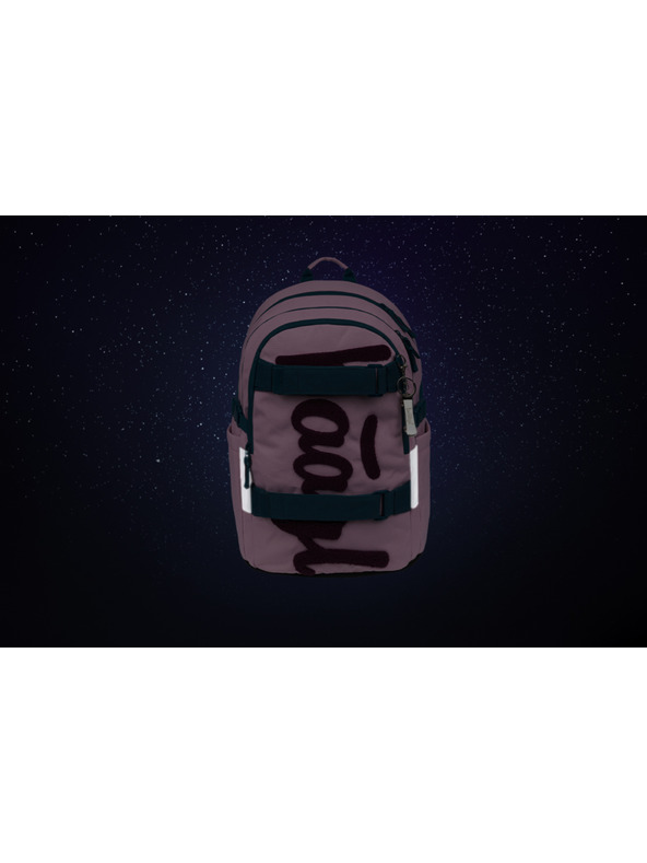 BAAGL  BAAGL Училищна раница Skate Rose GRS