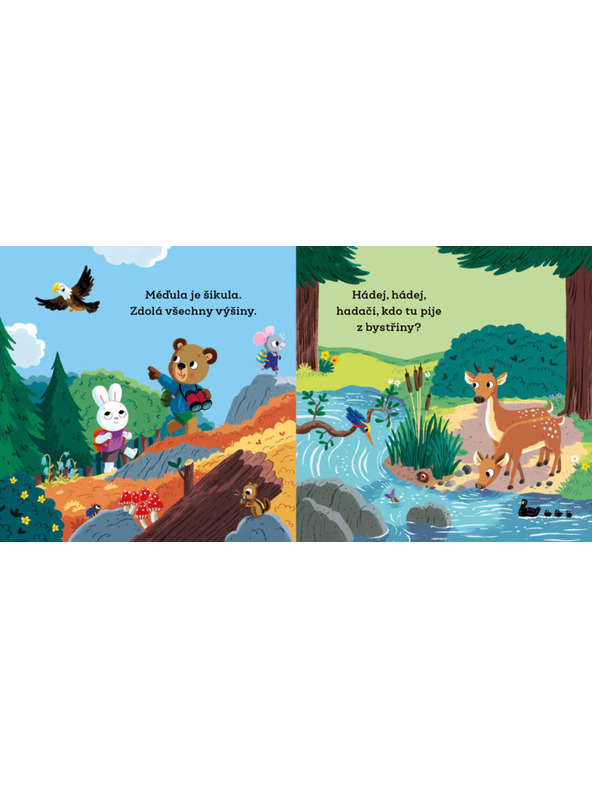 BAAGL  МЕЧО УМНИКА ЛАГЕРНИК – Картинки с подвижни елементи