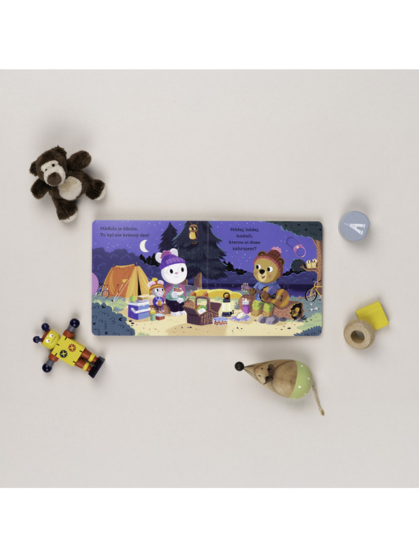 BAAGL  МЕЧО УМНИКА ЛАГЕРНИК – Картинки с подвижни елементи