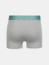 Under Armour Мъжки боксерки Under Armour M UA Perf Cotton 3in Boxer Briefs - 3 бр.