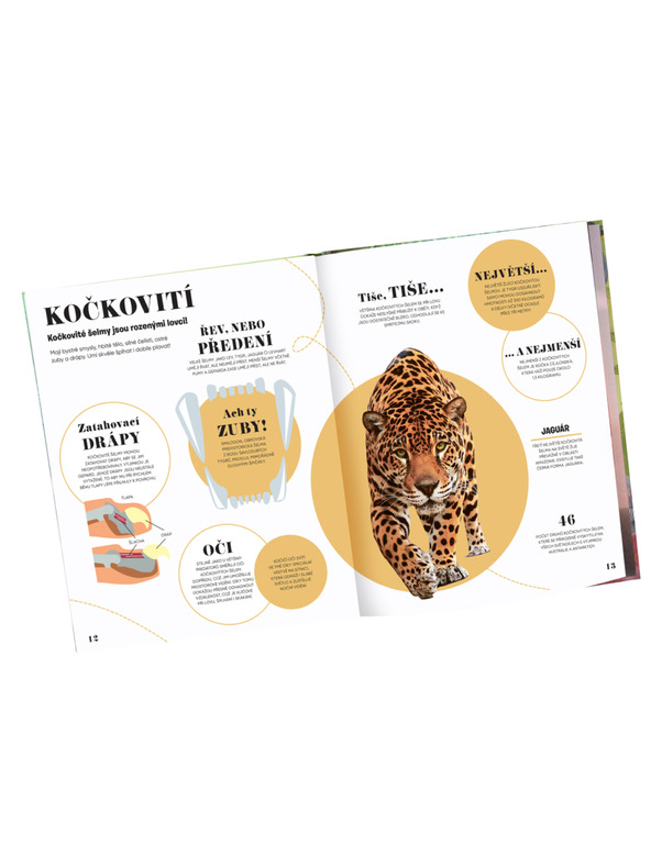 ELLA & MAX 5 МИНУТИ И ЗНАЯ: ПРИРОДА – 1000+ основна информация