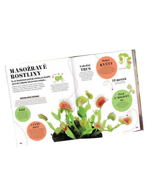 ELLA & MAX 5 МИНУТИ И ЗНАЯ: ПРИРОДА – 1000+ основна информация