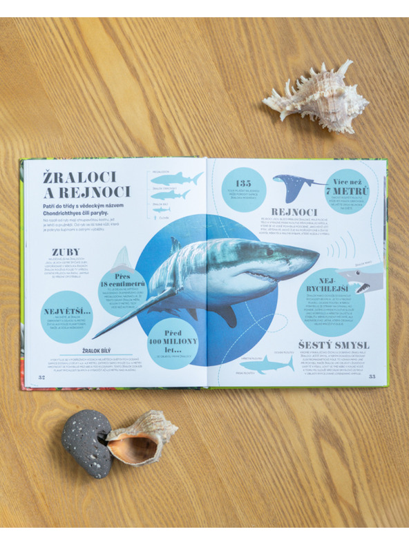 ELLA & MAX 5 МИНУТИ И ЗНАЯ: ПРИРОДА – 1000+ основна информация