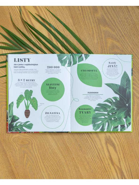 ELLA & MAX 5 МИНУТИ И ЗНАЯ: ПРИРОДА – 1000+ основна информация