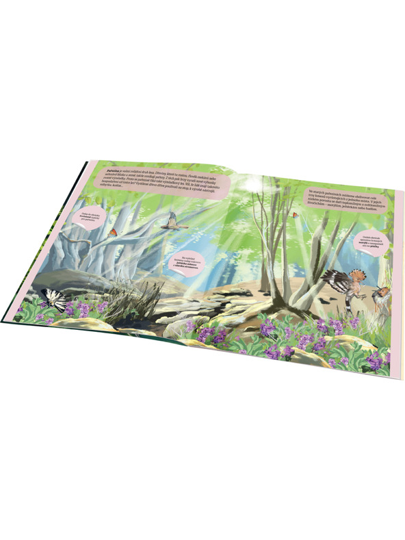 ELLA & MAX МАГИЧЕСКИ СВЯТ НА ГОРАТА – Книга със стикери