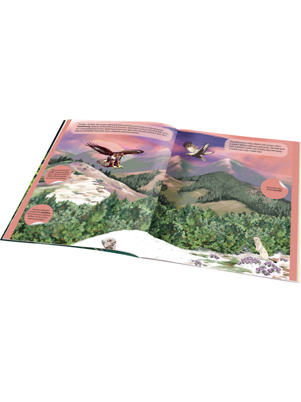 ELLA & MAX МАГИЧЕСКИ СВЯТ НА ГОРАТА – Книга със стикери