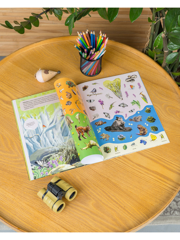 ELLA & MAX МАГИЧЕСКИ СВЯТ НА ГОРАТА – Книга със стикери