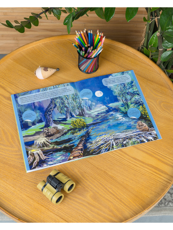 ELLA & MAX МАГИЧЕСКИ СВЯТ НА ГОРАТА – Книга със стикери