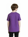 Meatfly Meatfly детска тениска Artee Violet | Лилава | Размер 134 | 100% памук