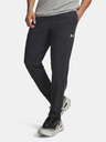 Under Armour Мъжки спортни панталони Under Armour M Explor Trail Run Pant-GRY