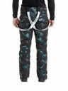 Meatfly Meatfly мъжки SNB & SKI панталони Ghost Mountains