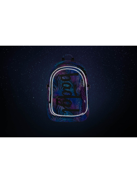 BAAGL  BAAGL Училищен раница Core Palm