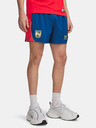 Under Armour Мъжки къси панталони Under Armour UA 96 Terrace Country Short