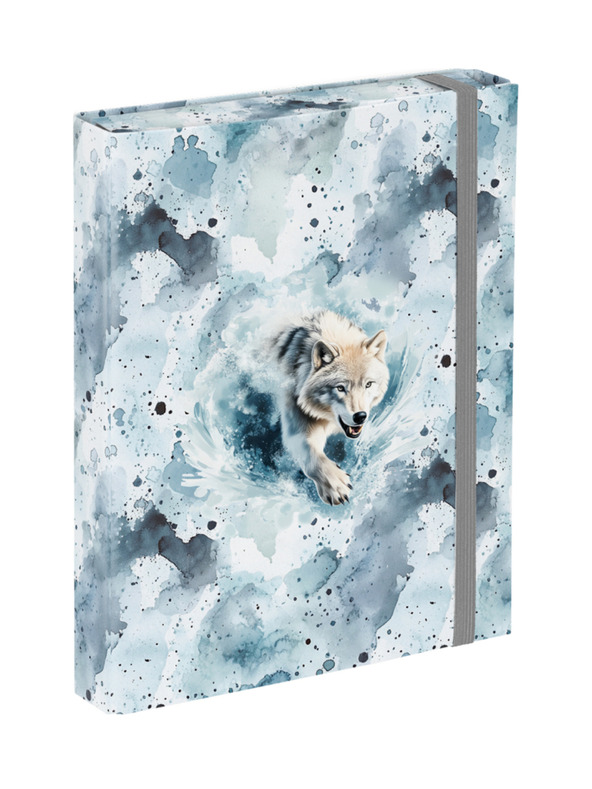 BAAGL  BAAGL Папки за училищни тетради A5 Polar