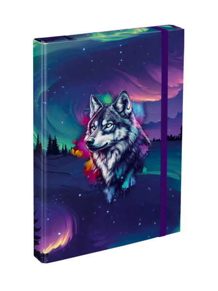 BAAGL  BAAGL Папки за училищни тетрадки A4 Aurora