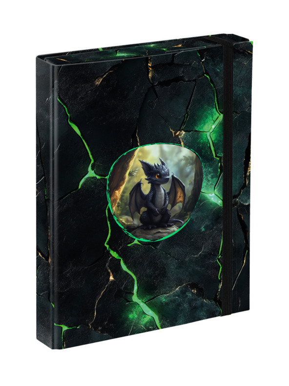 BAAGL  BAAGL Папки за училищни тетрадки A5 Драконите