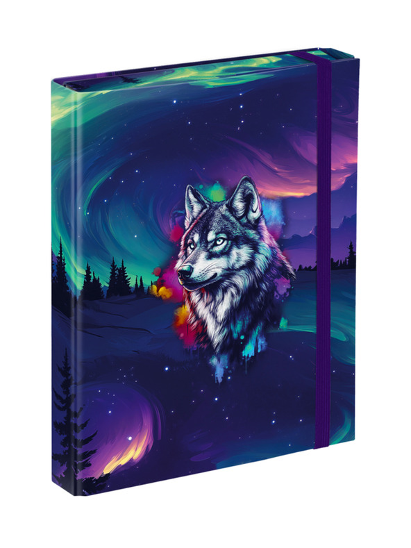 BAAGL  BAAGL Папки за училищни тетрадки A5 Aurora