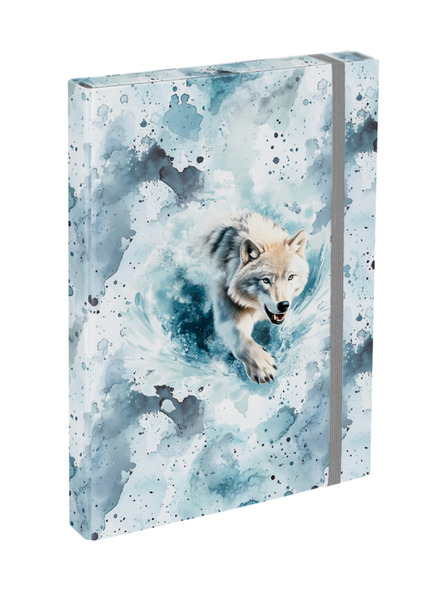 BAAGL  BAAGL Папки за училищни тетрадки A4 Polar