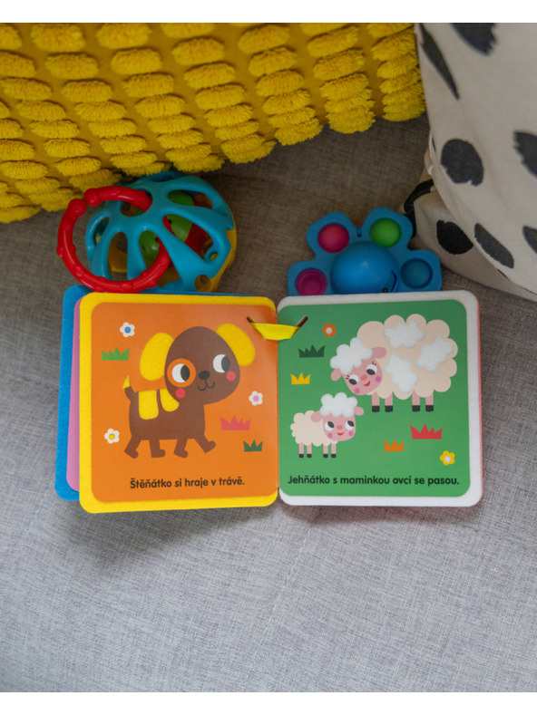 ELLA & MAX Книжка за количка – КОТЕНЦЕ И ПРИЯТЕЛИ