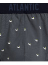 Atlantic Мъжки спортни слипове ATLANTIC 3Pack - многоцветни Размер: