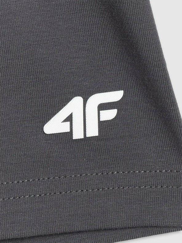 4F Дамски шорти Cobra 4F