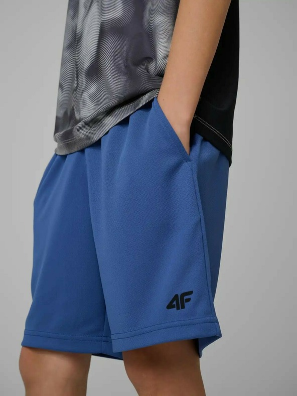 4F Момчешки шорти 4F FNK