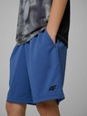 4F Момчешки шорти 4F FNK