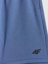 4F Момчешки шорти 4F FNK