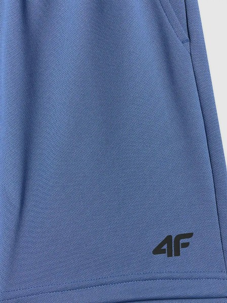 4F Момчешки шорти 4F FNK