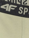 4F Момчешки боксерки 4F (3pack)
