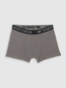 4F Момчешки боксерки 4F (3pack)