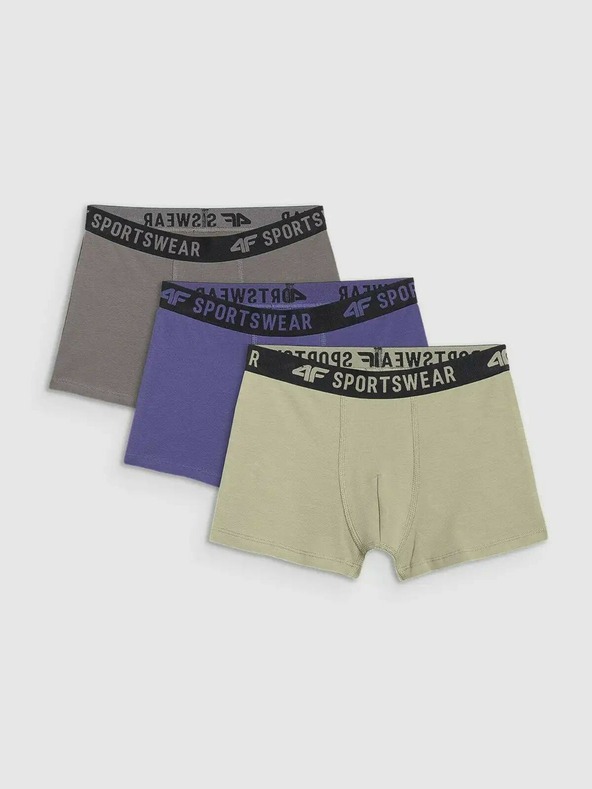 4F Момчешки боксерки 4F (3pack)